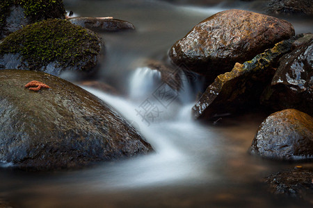 一条有石头和淡水的小河图片