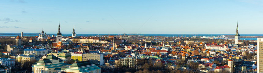 爱沙尼亚塔林老城全景图片