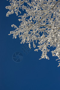 俄罗斯美丽的雪冬图片