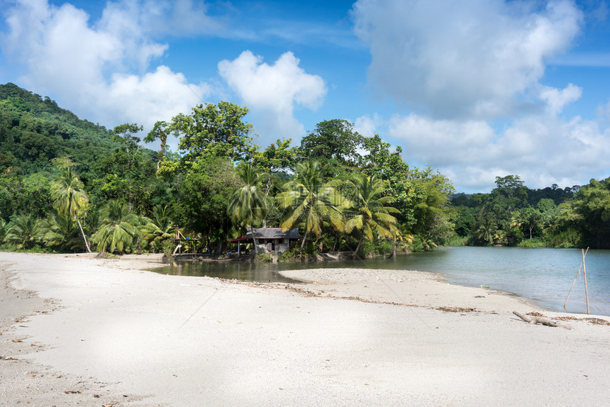 特立尼达特立尼达和多巴哥与棕榈树和低潮的异国海滩风景秀图片