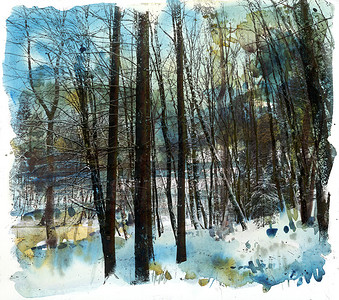 森林中的冬季水彩图片