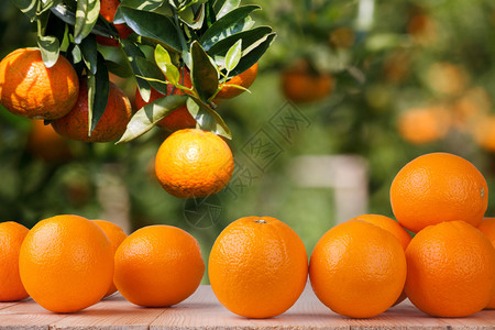 加德木桌上的鲜橙图片
