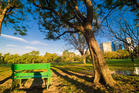 中央公园有绿色公园长椅灯光阴影图片