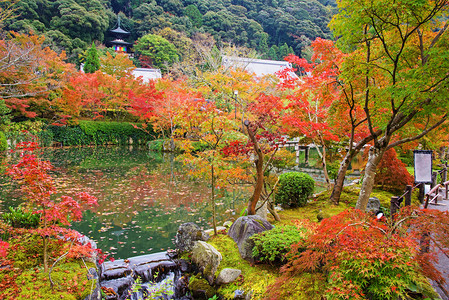 日本京都Eikando寺图片