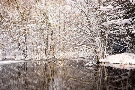 在冬天风景的霜树冻树的冬季景观用倒影在图片