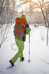 人们在树林的雪中图片