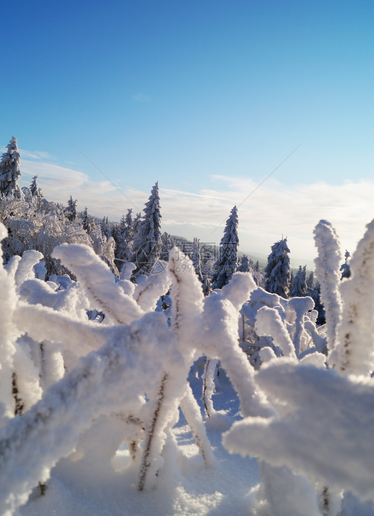 雪山景观图片