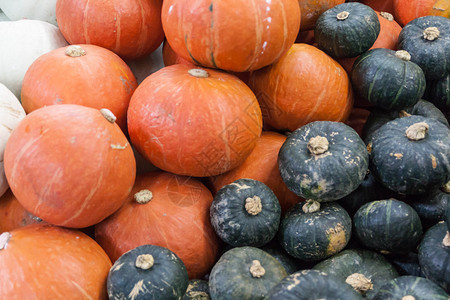 秋季市场上五颜六色的南瓜系列图片