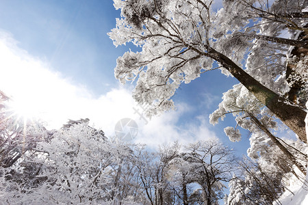 冬季黄山雪景图片