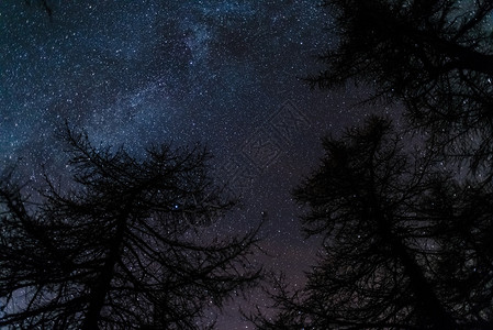 意大利阿尔卑斯山上的黑锥形林地捕捉到的星空在冬季的美丽景象图片