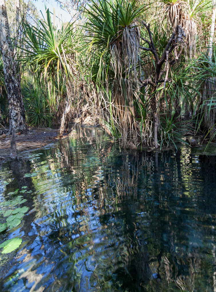 公园的彩虹泉和温泉池部分是游客的主要景点每天从地下涌出3050万升温度为34摄氏度的泉水图片
