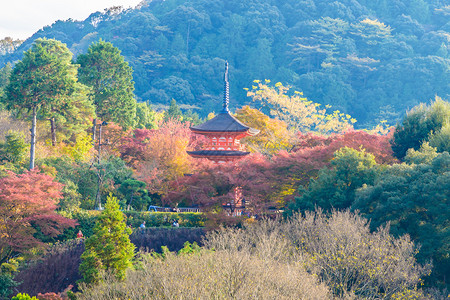 日本京都秋季的清水寺图片