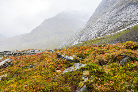 挪威的秋景图片