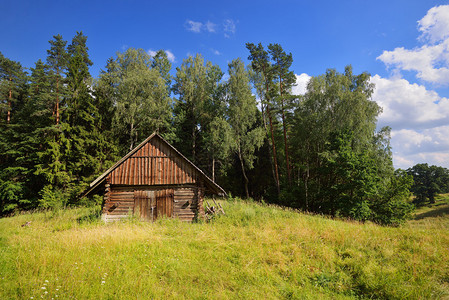 森林绿草地上的小屋图片