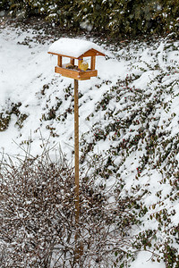 雪天冬季花园安装的简单自家木图片