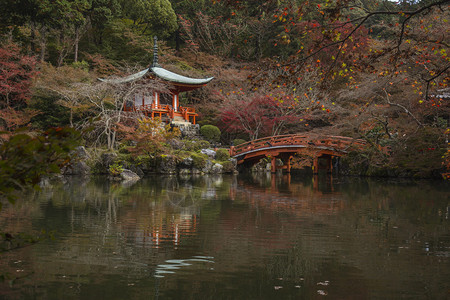 秋天的季节日本寺庙的树叶变红了图片