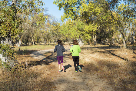 两个女人在森林里做运动和跑步图片