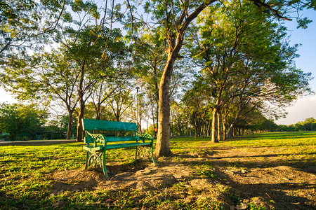 绿色长椅在一个美丽的公园里图片