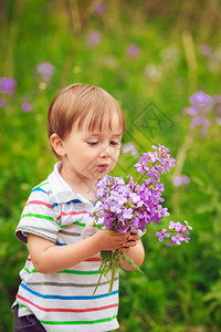 一个可爱的蹒跚学步的小男孩站在林场草地上图片