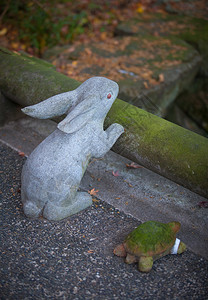日本花园中的野兔图片