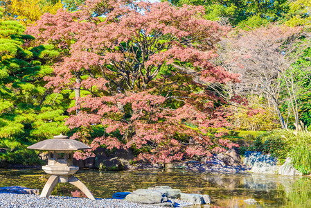 皇宫公园里的花园日本图片