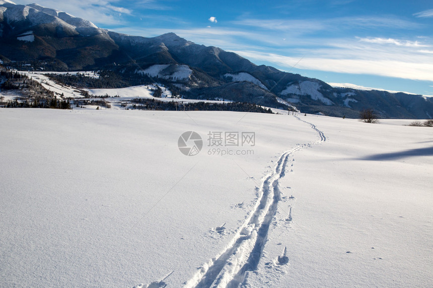 草地上的滑雪赛道图片