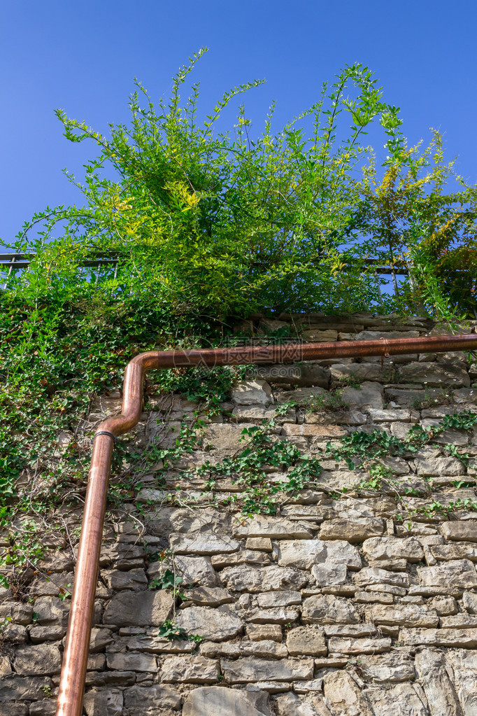 安装在砖墙上的铜块在花园的植物之间图片