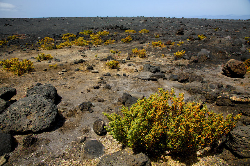 火山岩石云山和西班牙夏日兰萨罗特花岗丛中的图片