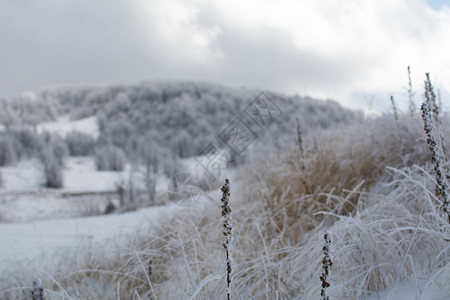 山上的冬天风景图片