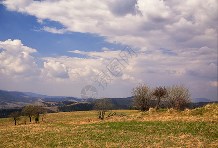 山村田地和山丘的阳光泉4月乌克兰图片