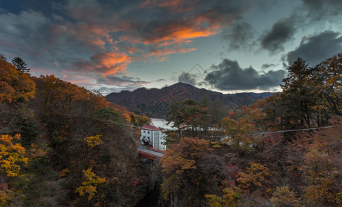 日本水上风景如画的秋山图片