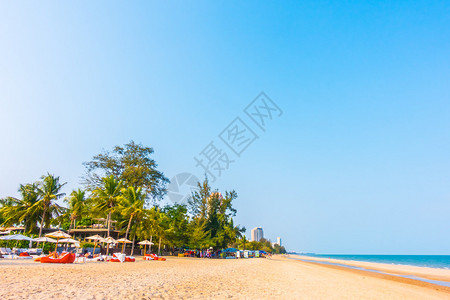 海滩和海滨风景背上的美丽的棕榈树增图片