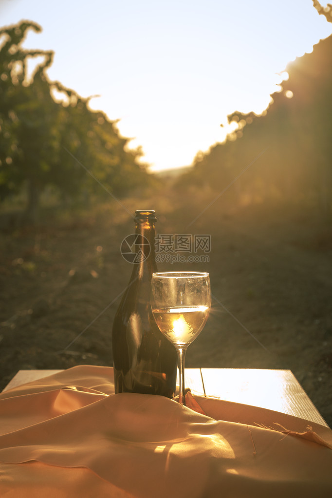 玻璃加白葡萄酒在旧桌子上的葡萄园里日落时的葡萄园木桌上的白葡萄酒杯酒瓶和白葡萄图片