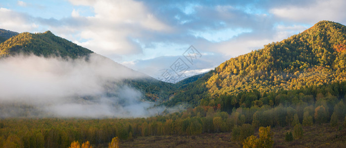 秋季针叶林和山脉的日出图片