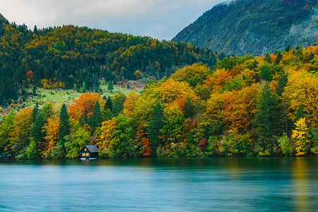 Bohinj湖斯洛文尼亚欧洲Triglav公园等地的山岳森林和湖泊图片