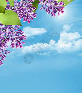蓝色天空下有云彩的花朵背景图片