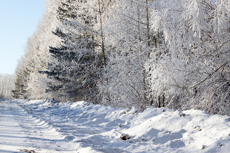 冬季公路下雪图片