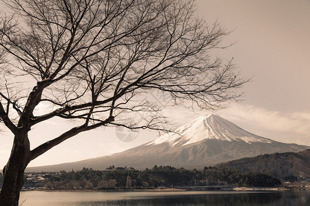 冬天的河口湖富士山图片