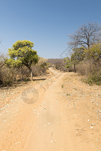 非洲博茨瓦纳农村炎太阳下荒图片