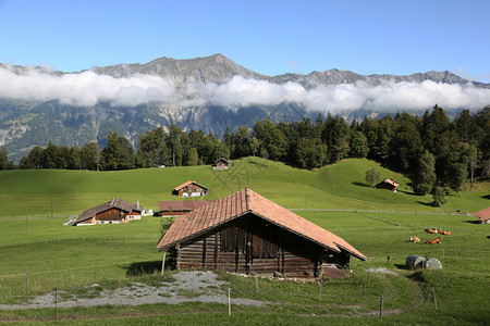 瑞士伯尔尼奥伯兰高原阿尔图片