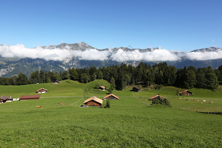 瑞士伯尔尼奥伯兰高原阿尔图片