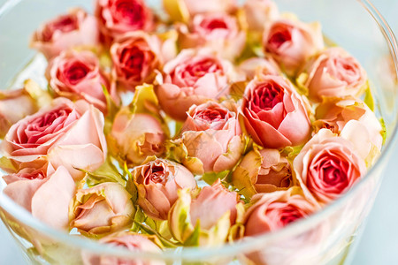 红玫瑰和粉红玫瑰紧贴在花图片