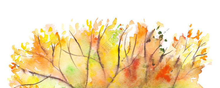 水彩秋天黄橙绿树叶背景图片