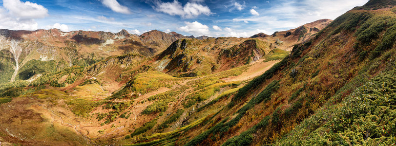 高加索山脉森林附近的山坡草地原上树木很少的泛光夏季风景图片