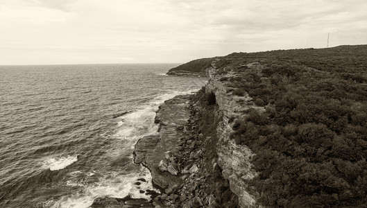 澳大利亚Shelly海滩岸线的图片
