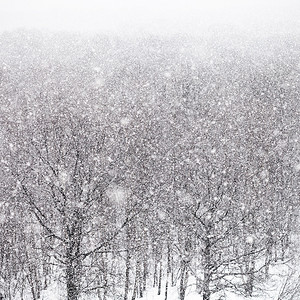 冬天的雨雪在森背景图片