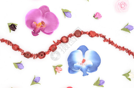 白色的珠子和花朵背景图片