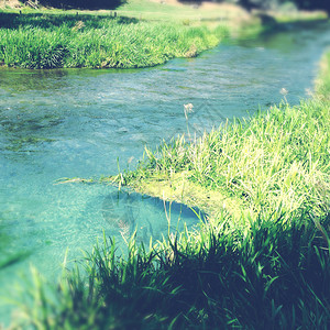 纯净的泉水溪流背景图片