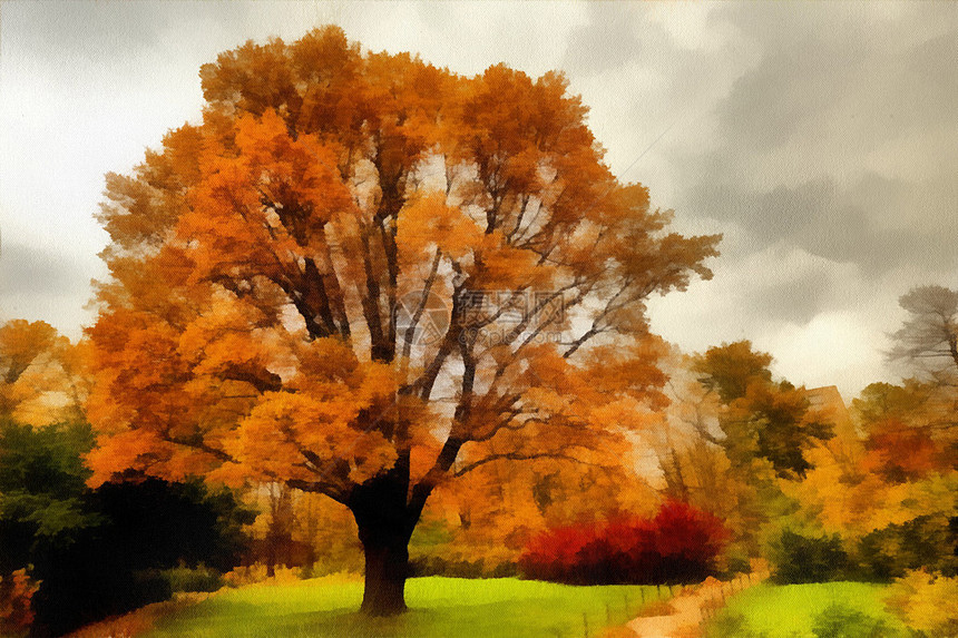 秋天城市公园的黄叶树图片