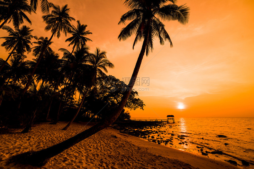 泰国KohKood的椰子图片